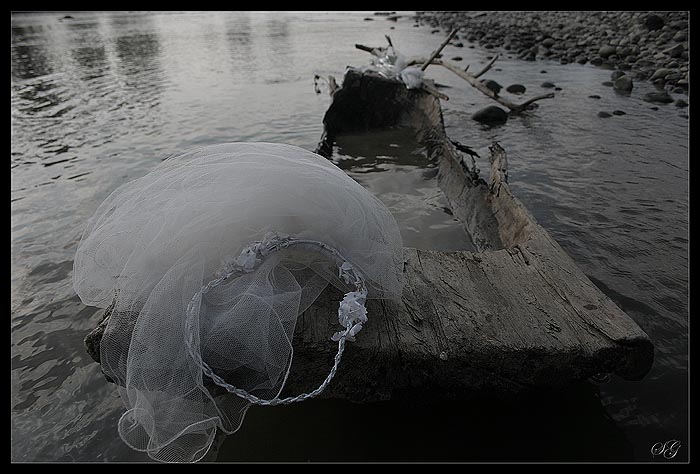 фото "The bride from the boat" метки: пейзаж, природа, вода