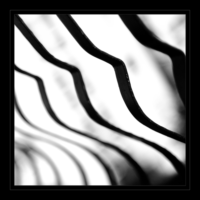 photo "z e b r a" tags: misc., abstract, 