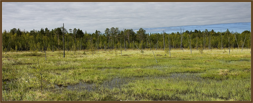 photo "***" tags: landscape, summer