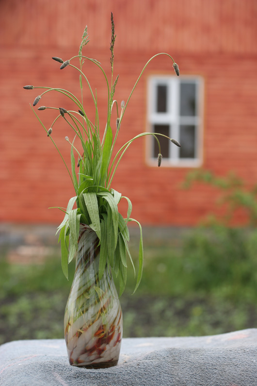 photo "Букет" tags: still life, 