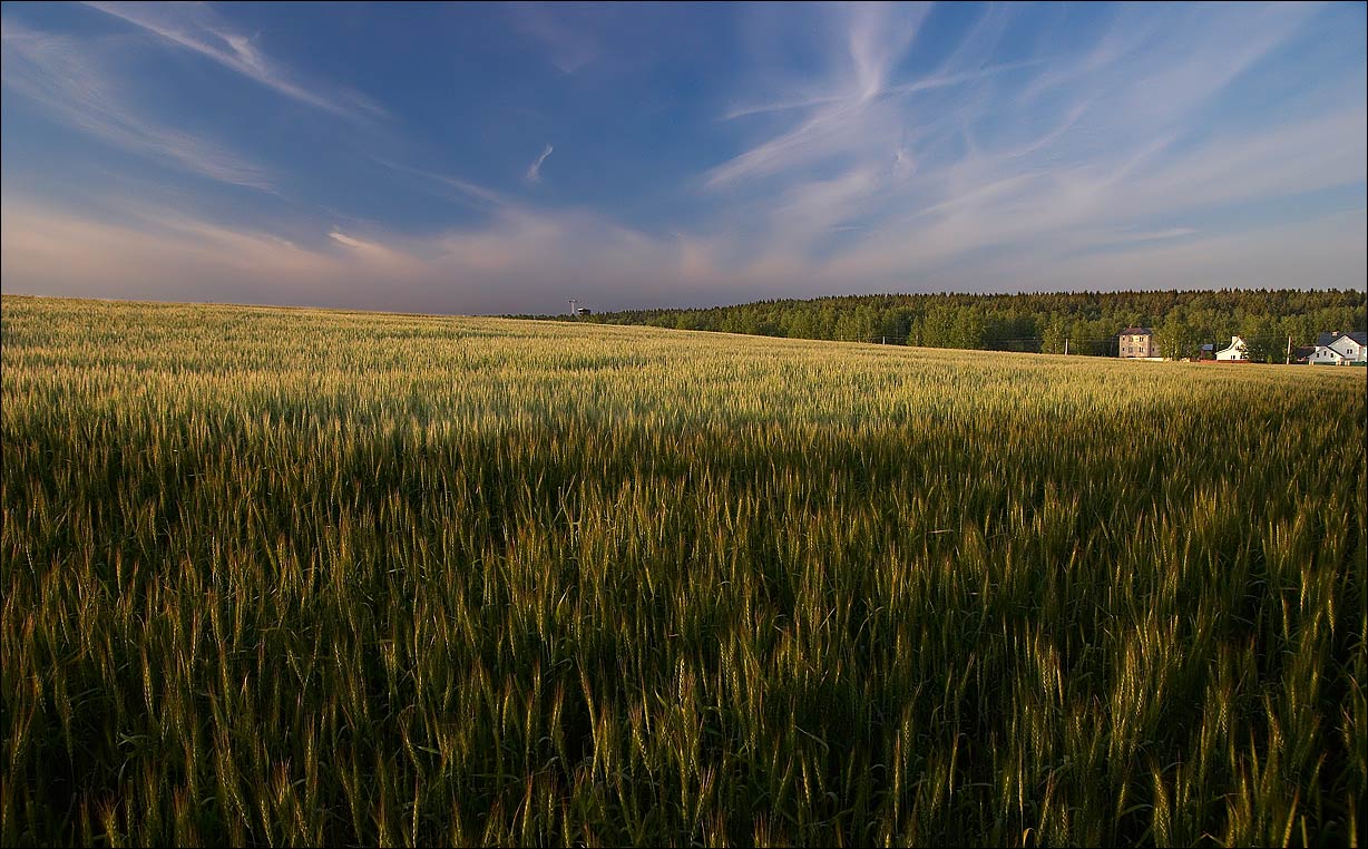 photo "~~~" tags: landscape, summer