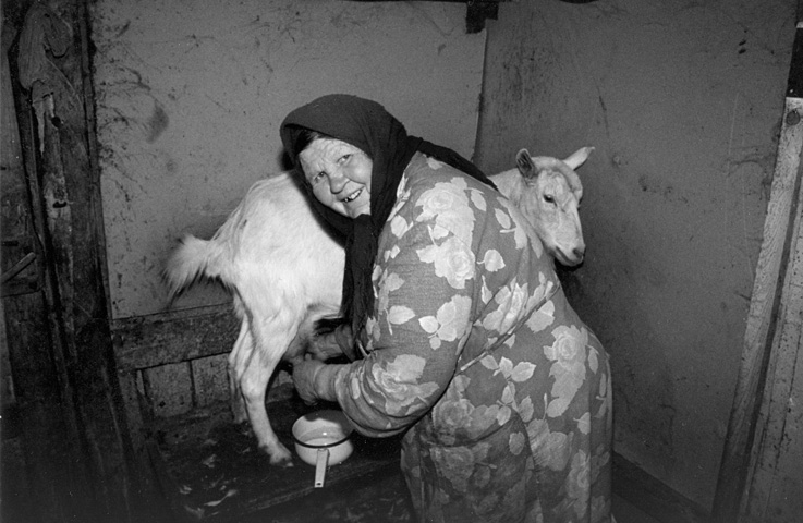 photo "Woman to Blow and her(its) nanny goat" tags: genre, 