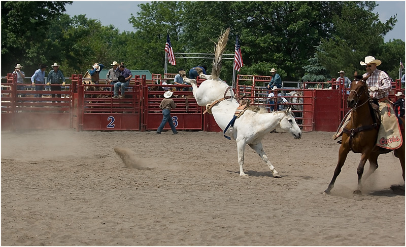 photo "RODEO" tags: sport, travel, North America