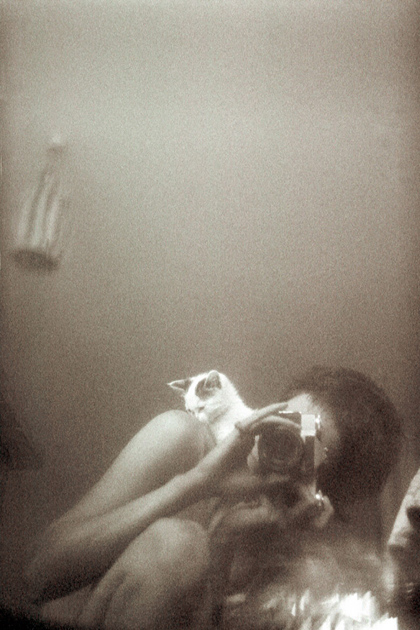 photo "zenit and macaroni" tags: , 