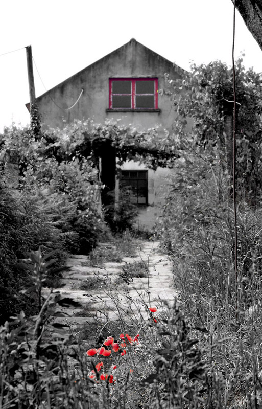фото "The House..." метки: разное, 
