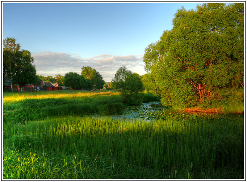 photo "Summer" tags: , 