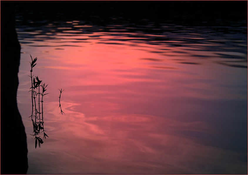 photo "Evening silence" tags: landscape, sunset, water
