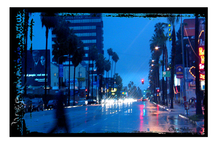 фото "Rain in Los Angeles" метки: пейзаж, 