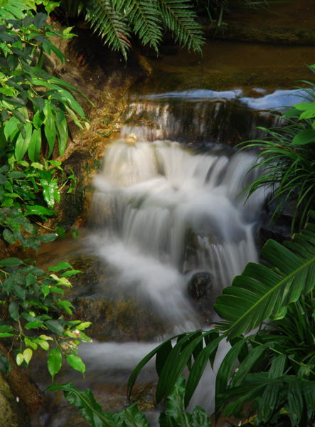 photo "The source of life" tags: landscape, forest, water