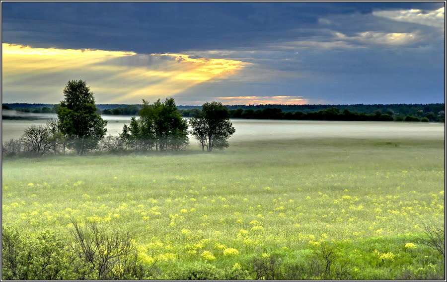 фото "***" метки: пейзаж, природа, лето