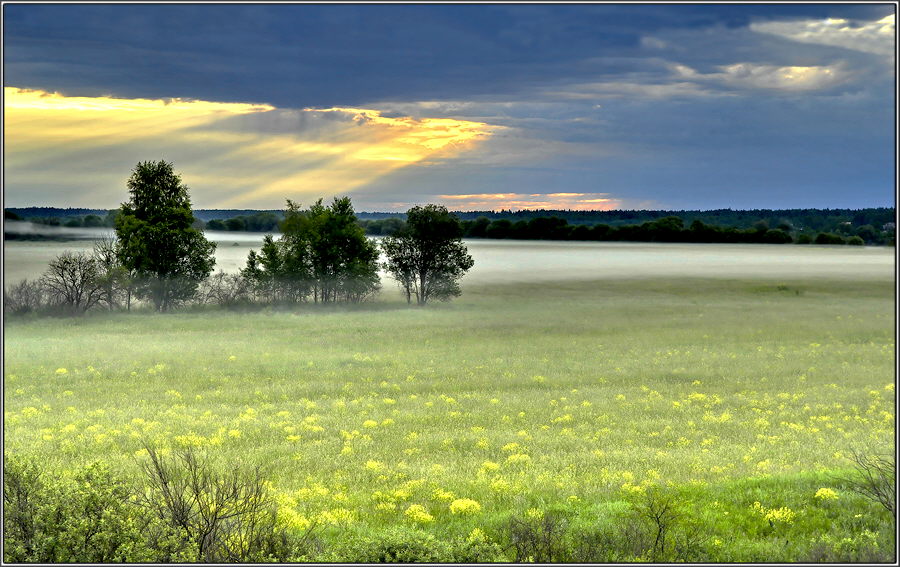 photo "***" tags: landscape, nature, summer