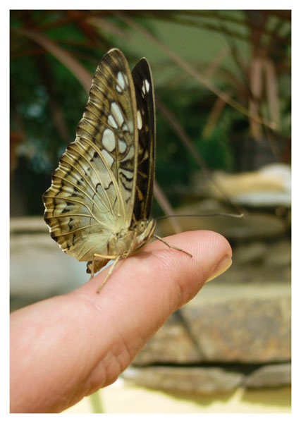 photo "lets be friends" tags: nature, macro and close-up, 