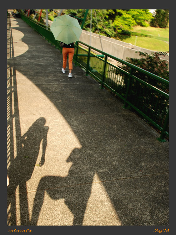 фото "shadow 1" метки: разное, 
