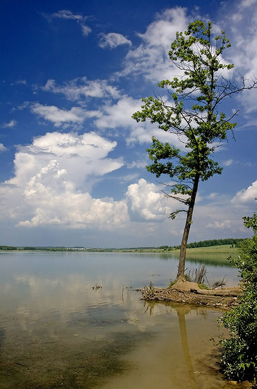 фото "Липецкий пейзаж" метки: пейзаж, вода, лето