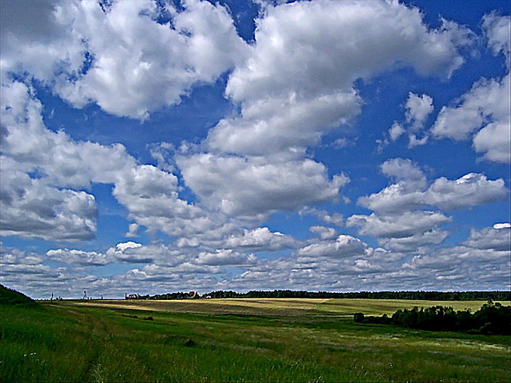 photo "***" tags: nature, landscape, summer