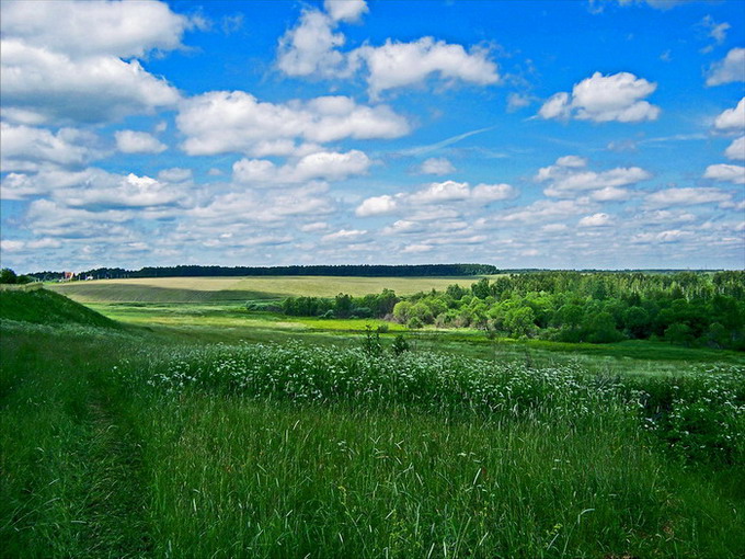 photo "***" tags: landscape, nature, summer