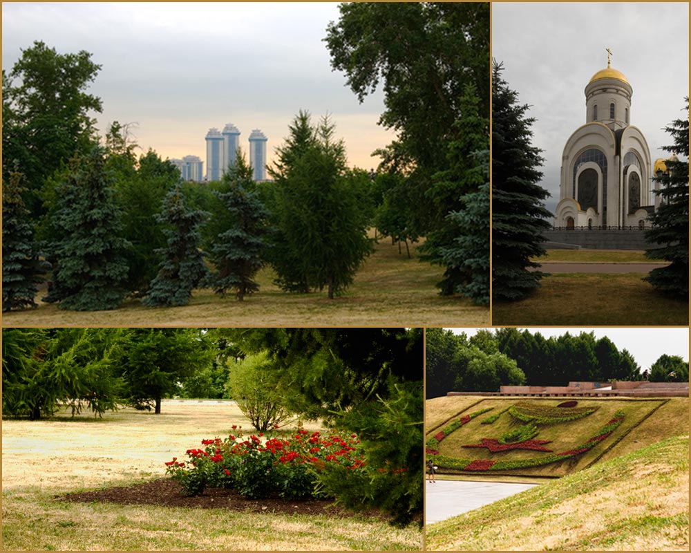 фото "Московские газоны" метки: город, пейзаж, лето