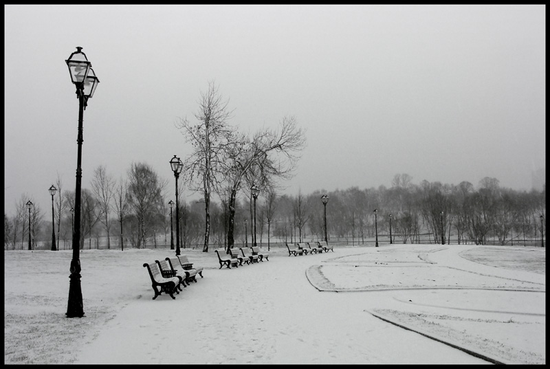 photo "***" tags: landscape, black&white, winter