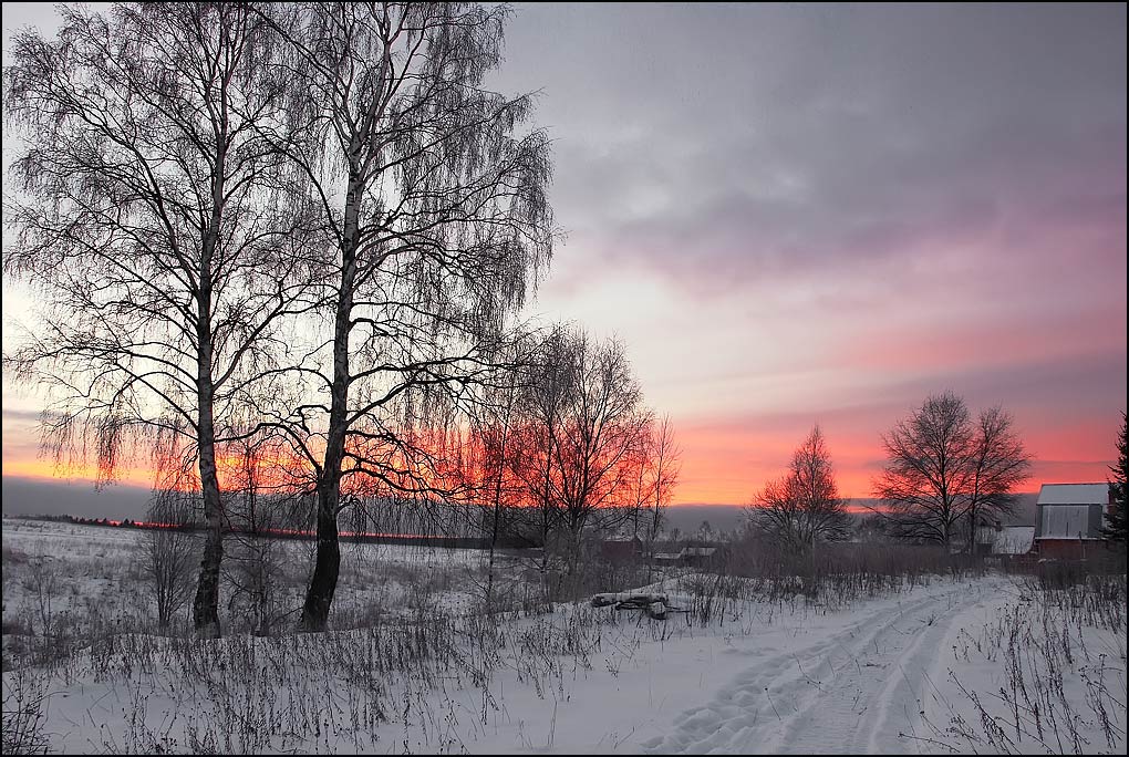 photo "In the morning with Evdokimych." tags: landscape, winter