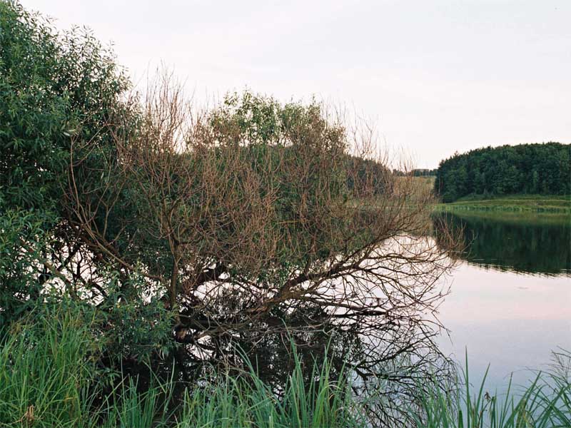 photo "***" tags: landscape, water