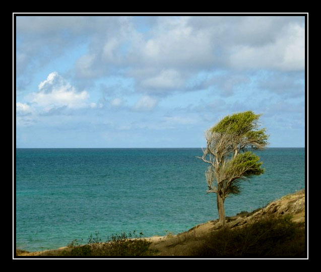 photo "Solitude" tags: landscape, water