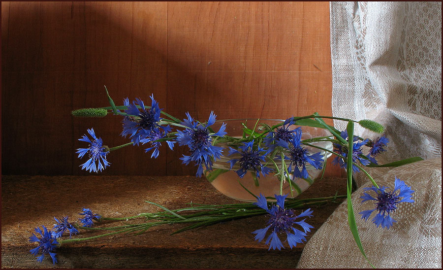 photo "***" tags: still life, 