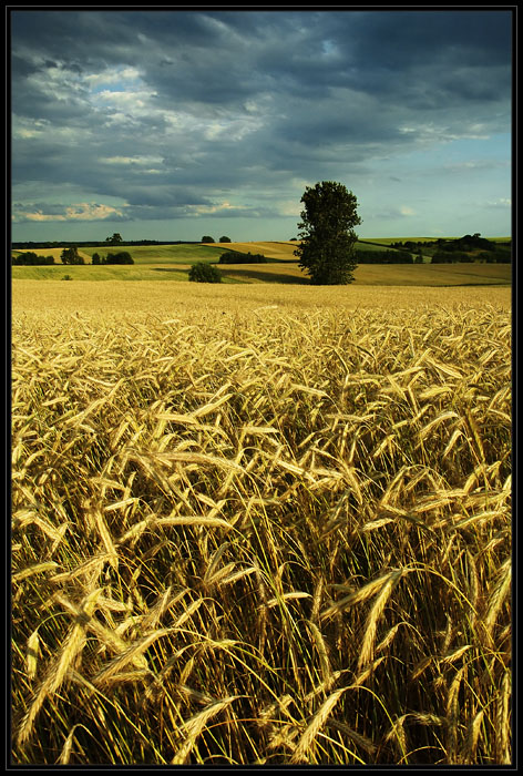 photo "* * *" tags: landscape, spring