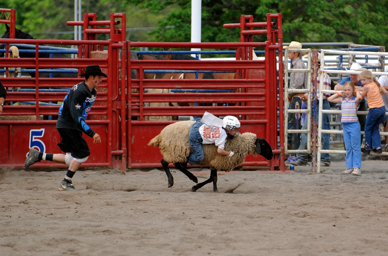 photo "rodeo" tags: travel, North America