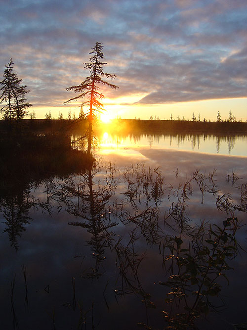 photo "***" tags: landscape, sunset, water