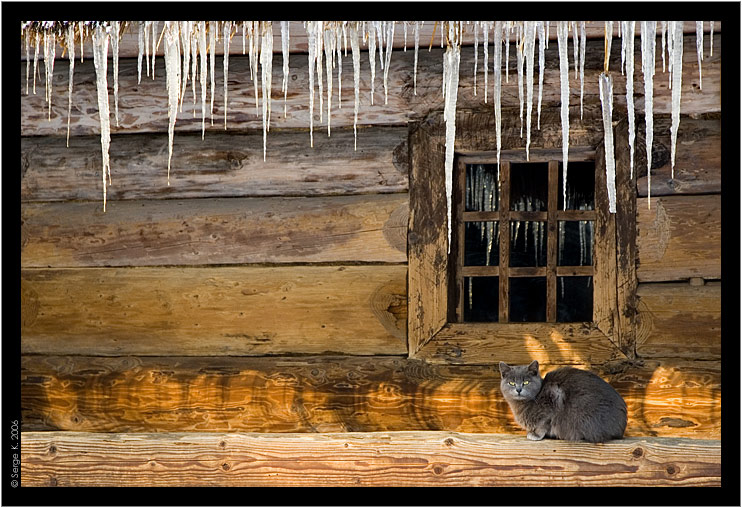 photo "Under the icycles" tags: misc., 