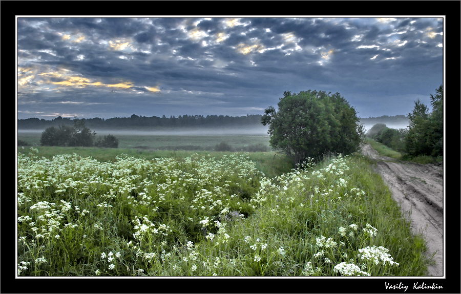 фото "Соловьиное утро" метки: пейзаж, природа, лето