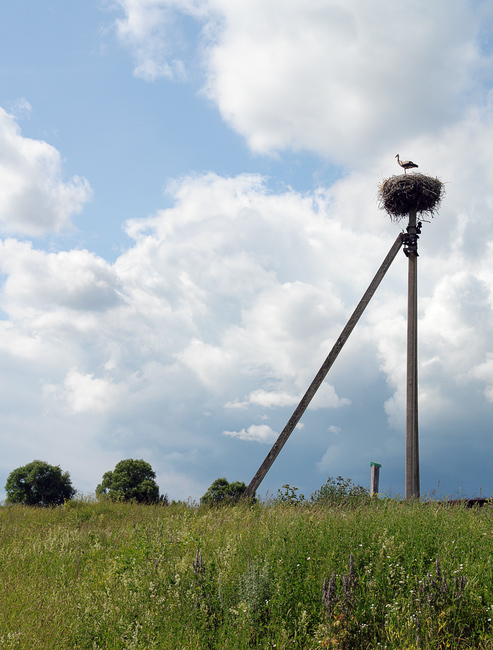 photo "Peaceful sky. June 22" tags: landscape, clouds