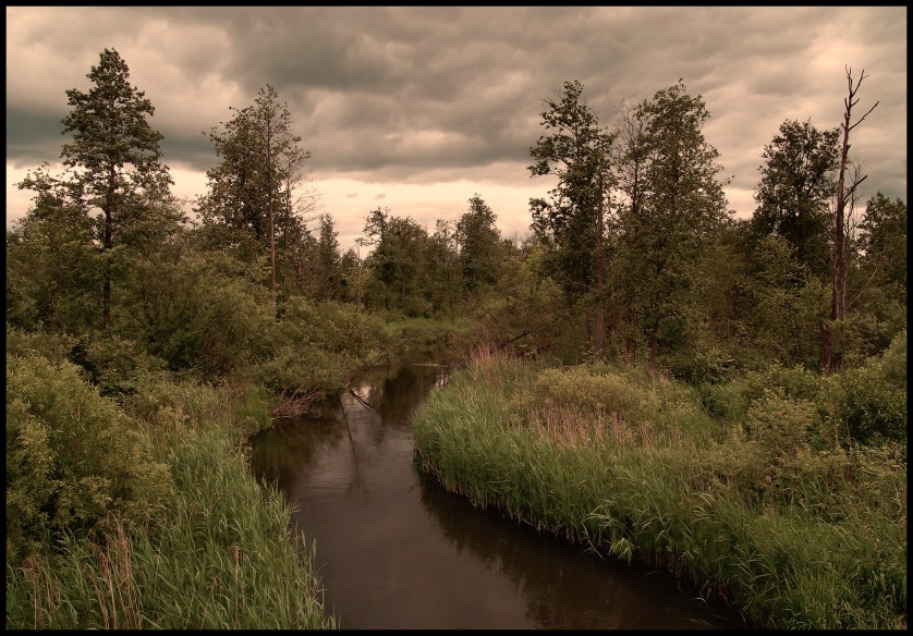 photo "***" tags: landscape, summer