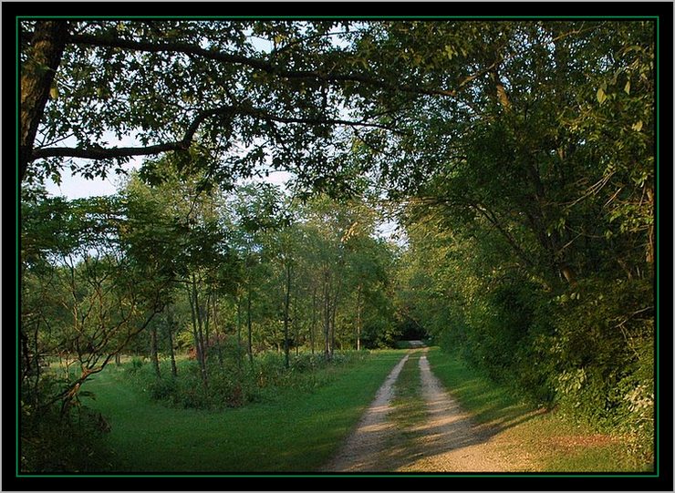 фото "Country Road" метки: пейзаж, лето