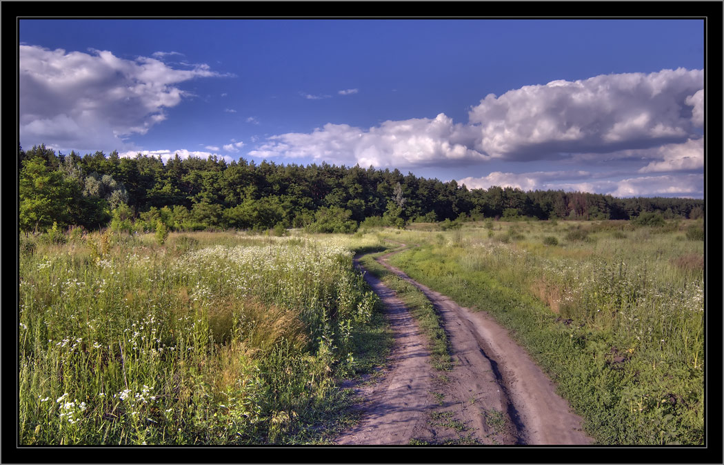 photo "country road" tags: landscape, 