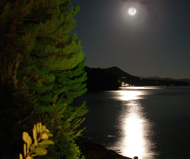 фото "Ночь на Черном море" метки: пейзаж, вода, ночь