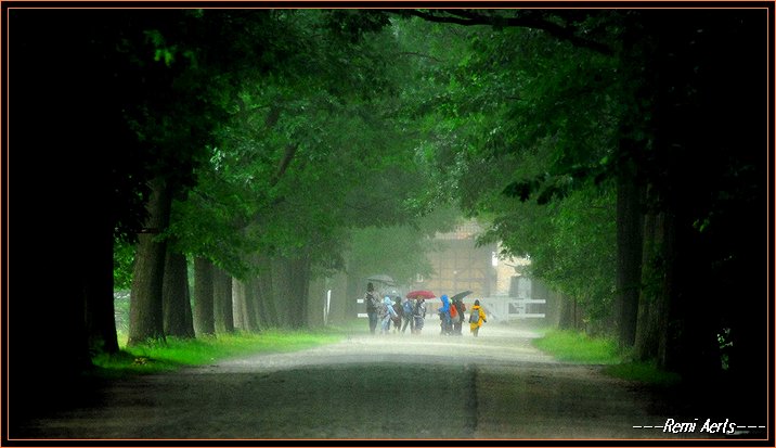 photo "rainy day in Belgium" tags: landscape, reporting, summer