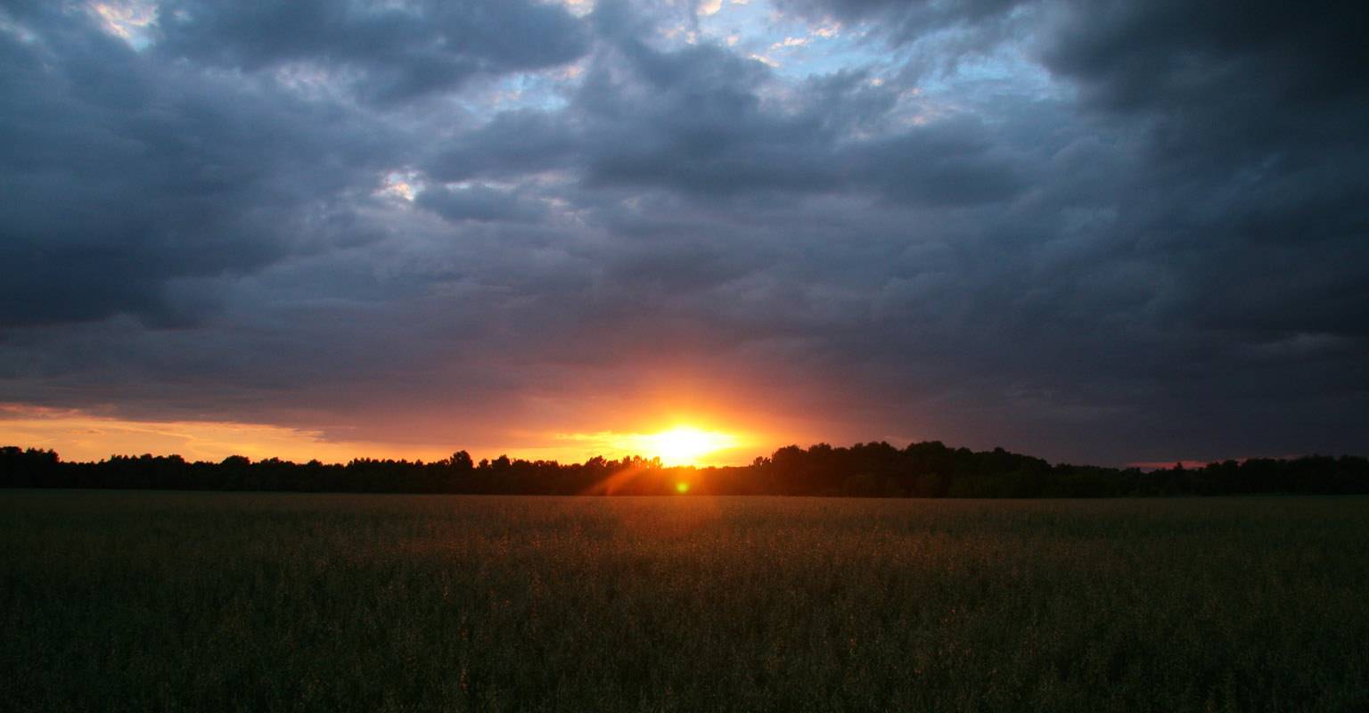 photo "***" tags: landscape, summer, sunset