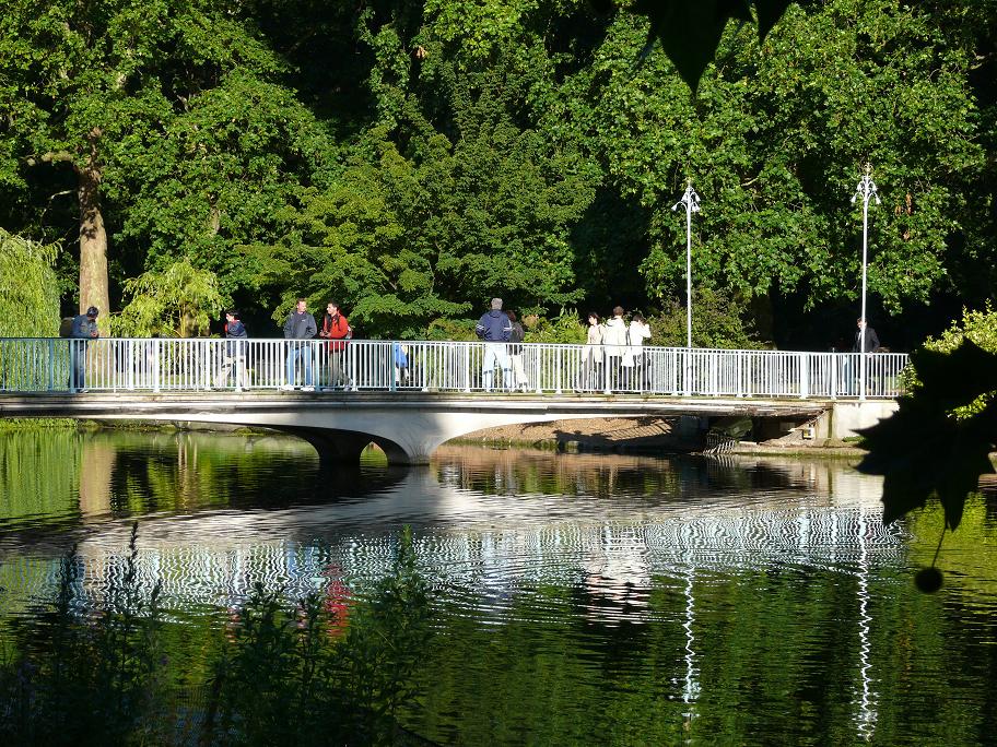 photo "Reflections in the Park" tags: landscape, water