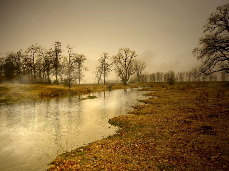photo "River runs through" tags: landscape, autumn