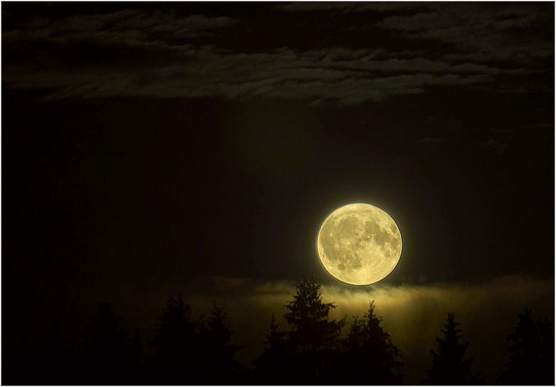 фото "Лунная ночь" метки: пейзаж, ночь
