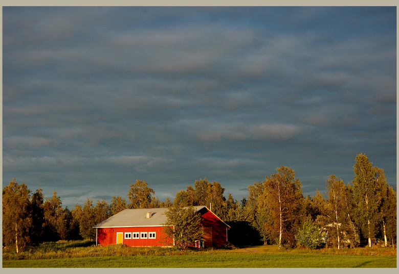 photo "Sunset colours" tags: landscape, summer, sunset