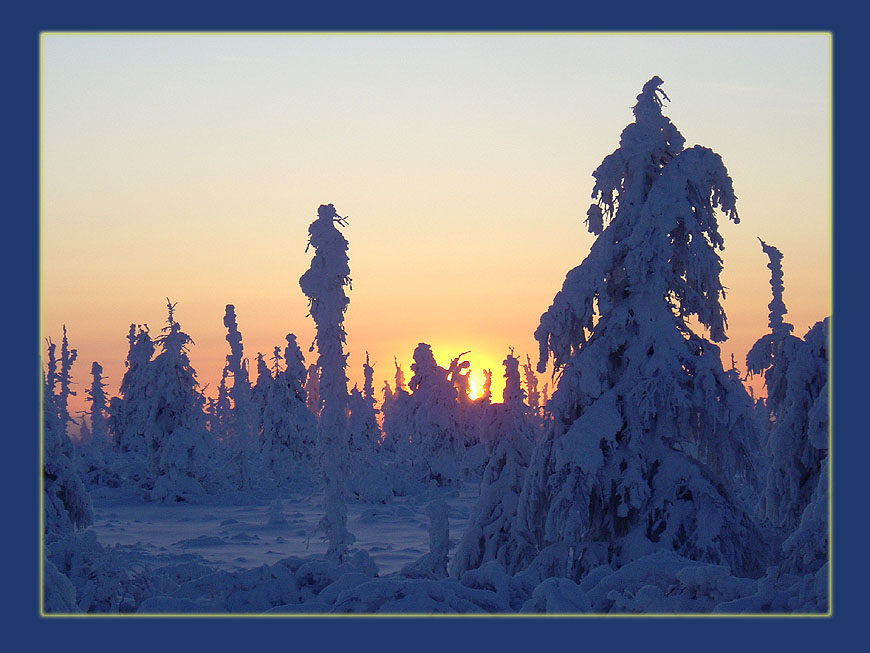 фото "Декабрьский мороз" метки: пейзаж, закат, лес
