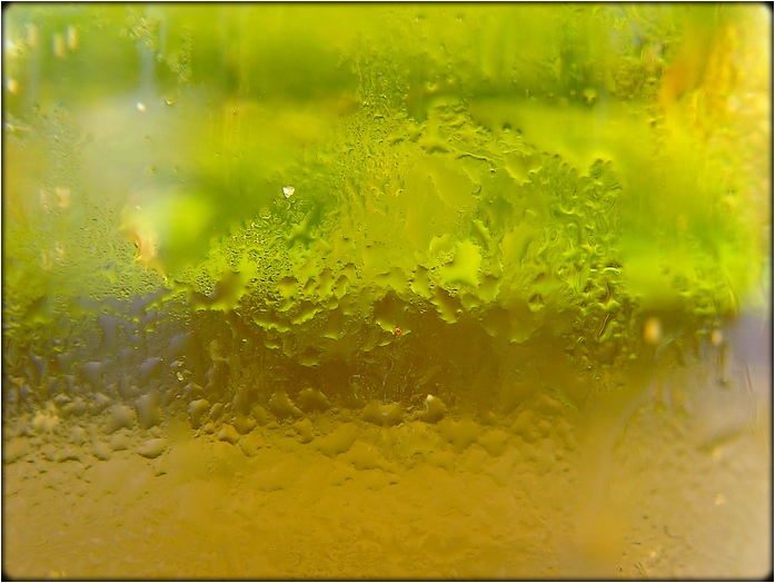 photo "beer" tags: macro and close-up, abstract, 