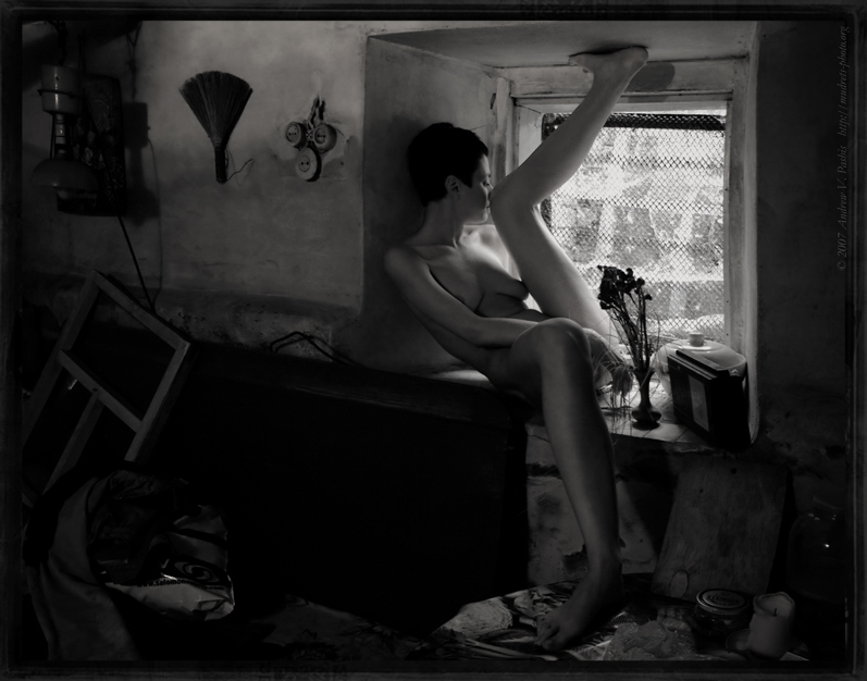 photo "Fleurs du Mal" tags: nude, black&white, 