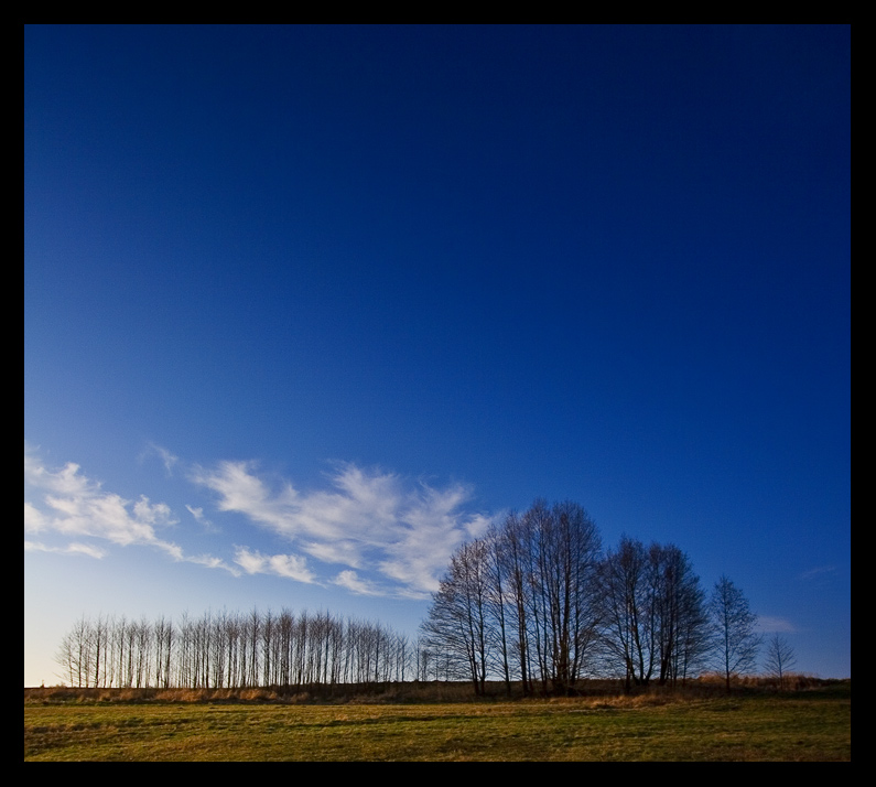 photo "__|||||__" tags: landscape, forest