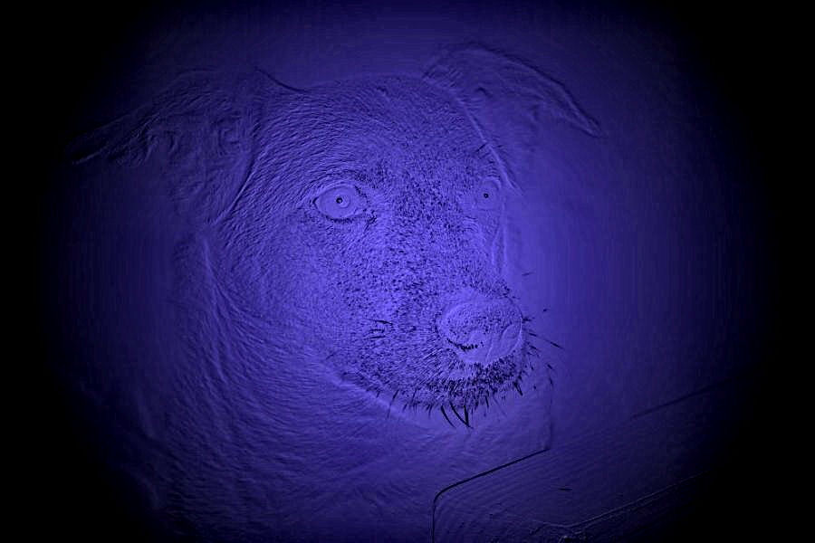 фото "BLUE dog" метки: техника, 