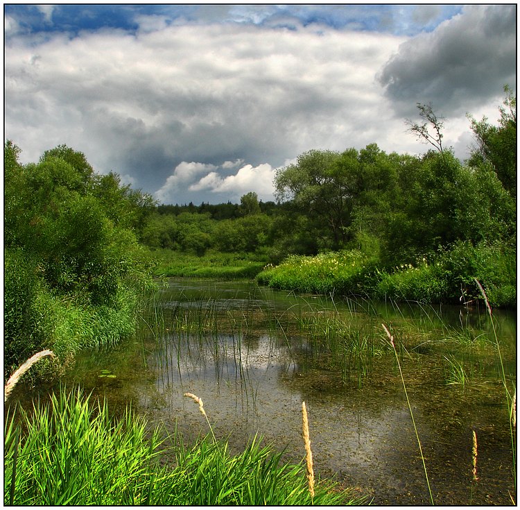 photo "July" tags: landscape, clouds