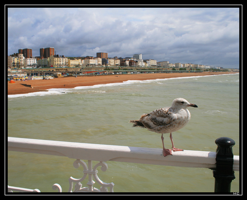 фото "Brighton Peer" метки: пейзаж, путешествия, Европа, лето