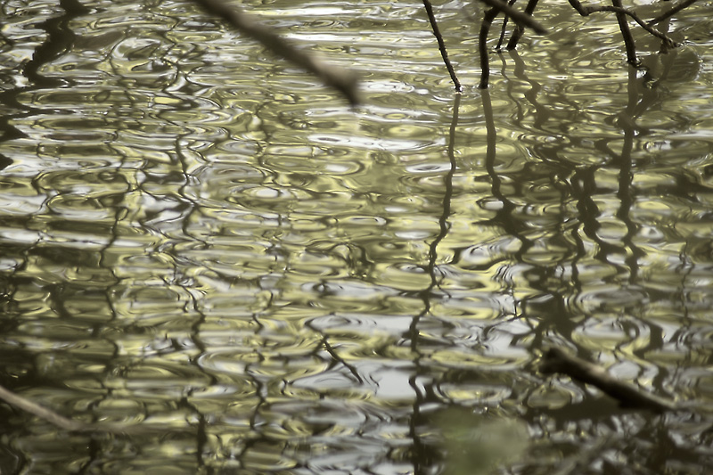 фото "...green?..." метки: пейзаж, натюрморт, вода